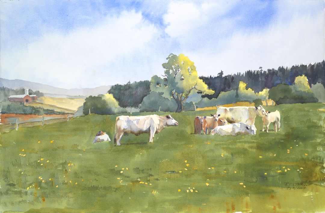 Laura and Jerry's Charolais by Robert Lynk (September 2014 cover of Journal of the American Veterinary Medical Association)